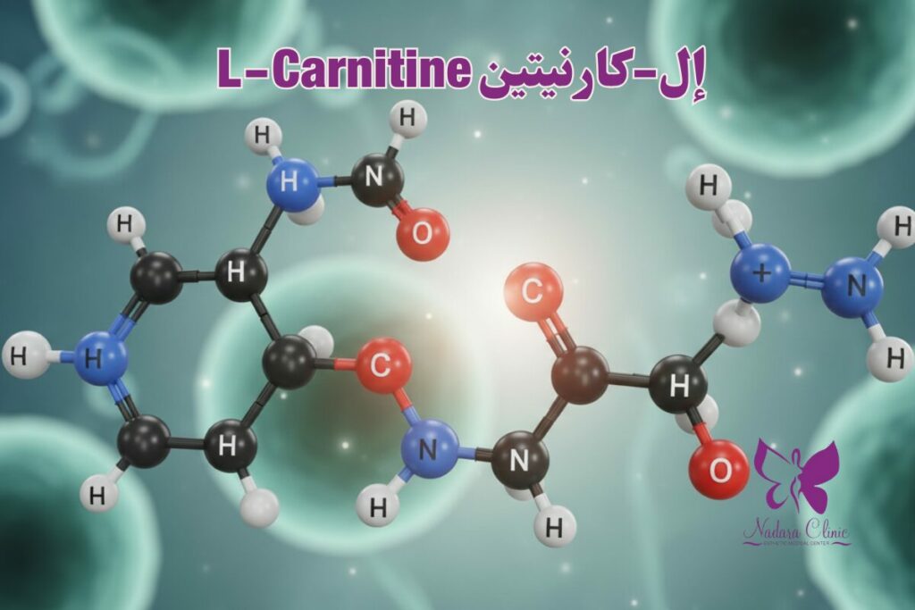 إل-كارنيتين L-Carnitine